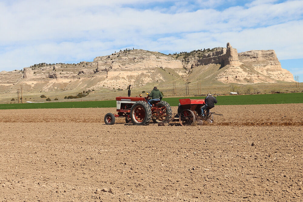 Legacy of the Plains Potatoes